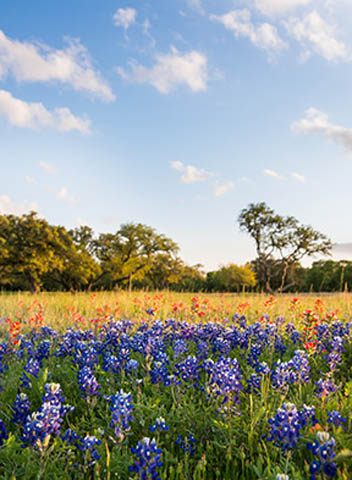 Brenham/Washington County